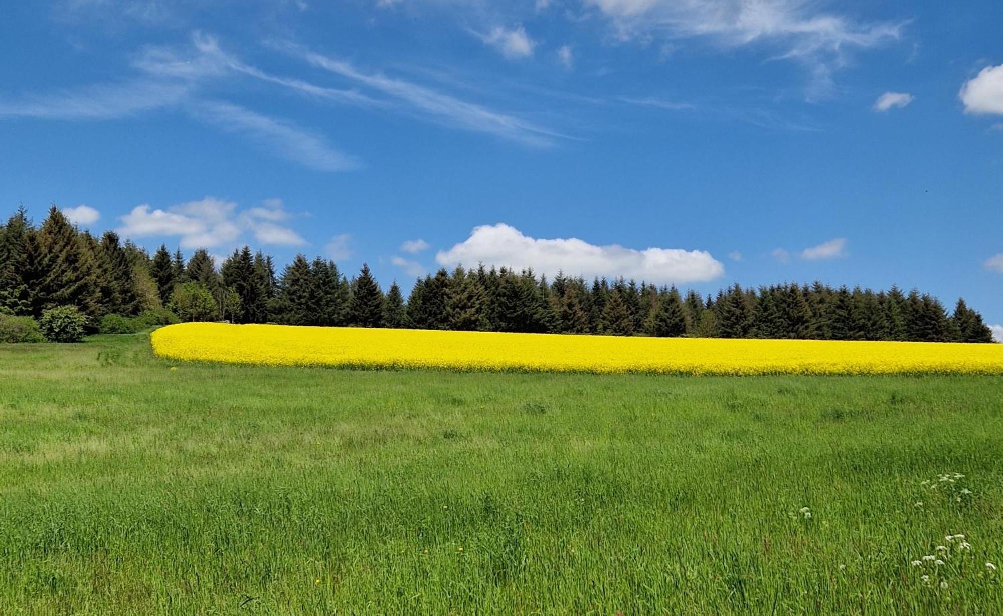 Ferienhaus Egger Üdersdorf Zewnętrze zdjęcie